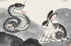 01年蛇和99年兔合适吗八字