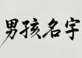 2025蛇年姓王的小孩最旺的名字合集