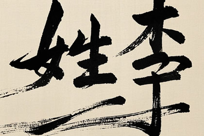 2025龙年李姓宝宝最旺名字合集