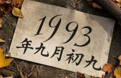 1993年九月初九的八字好不好