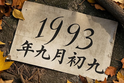1993年九月初九的八字好不好 