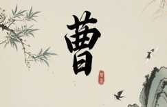 曹姓男孩大气的名字 高端曹姓男孩名字