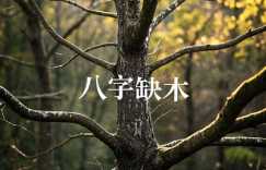 八字缺木佩戴什么好 运气不好戴什么改运