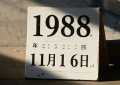 1988年11月16日农历八字好不好：八字里藏着哪些命运密码？