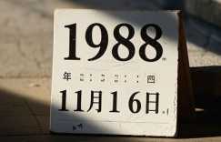 1988年11月16日农历八字好不好：八字里藏着哪些命运密码？