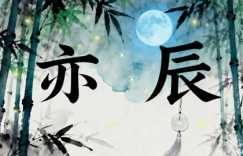 亦辰这个名字怎么样 属蛇的男宝叫亦辰好吗
