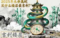 2025年木命属蛇买什么楼层最吉利?