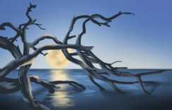 2025年11月14号乔迁搬家是良辰吉日吗