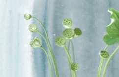 2025年11月18号适不适合搬家是几日吗